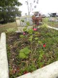 image of grave number 761136